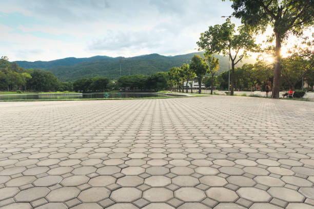 Best Residential Driveway Paver Services  in Nroe City, MO