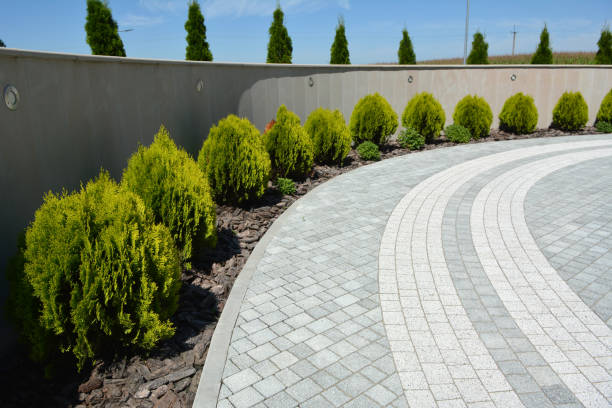 Best Local Driveway Pavers  in Nroe City, MO